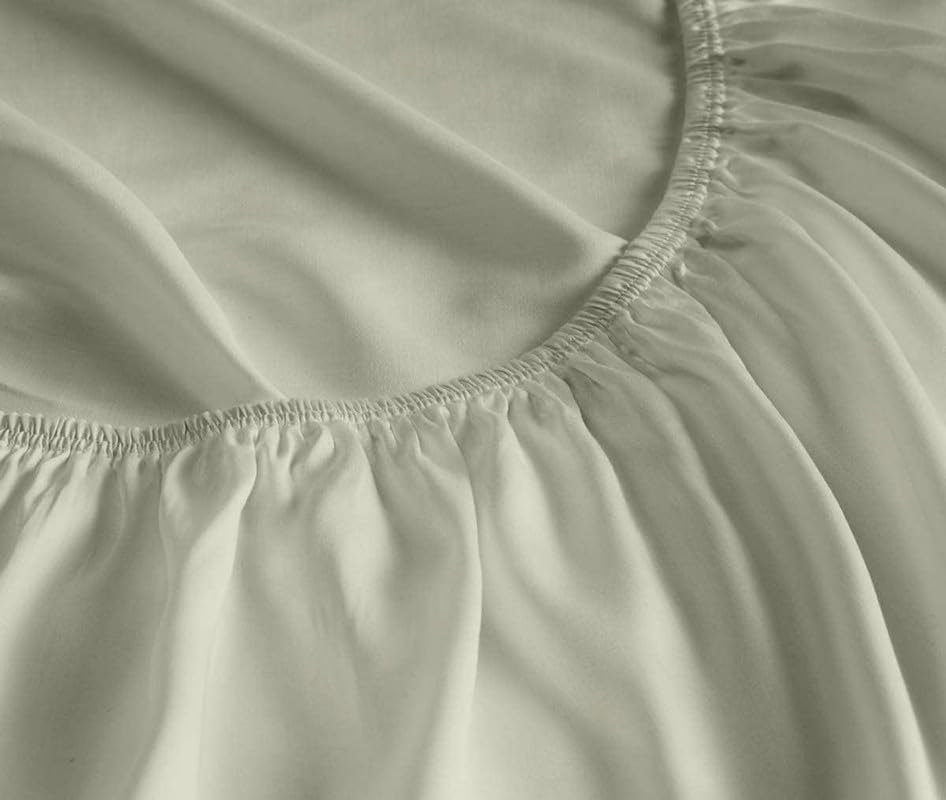 Ivory Solid