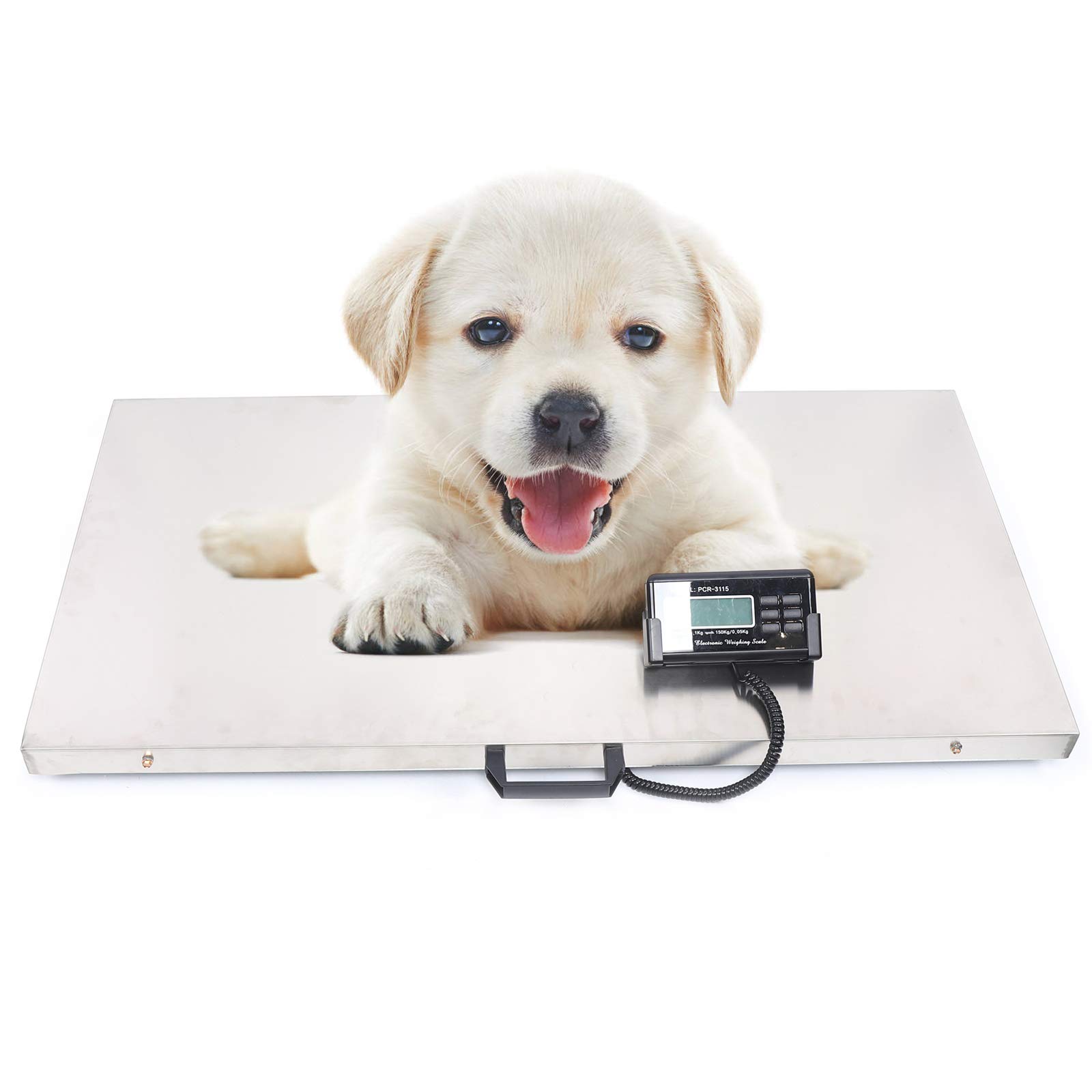 Gdrasuya 10 Digital Livestock Scale - Heavy Duty Large Platform Floor Scale for Pets, Hogs, Sheep, Goats & Pigs - Accurate Veterinary & Postal Shipping Weighing Solution for Farms, Ranches & Veterinary Clinics