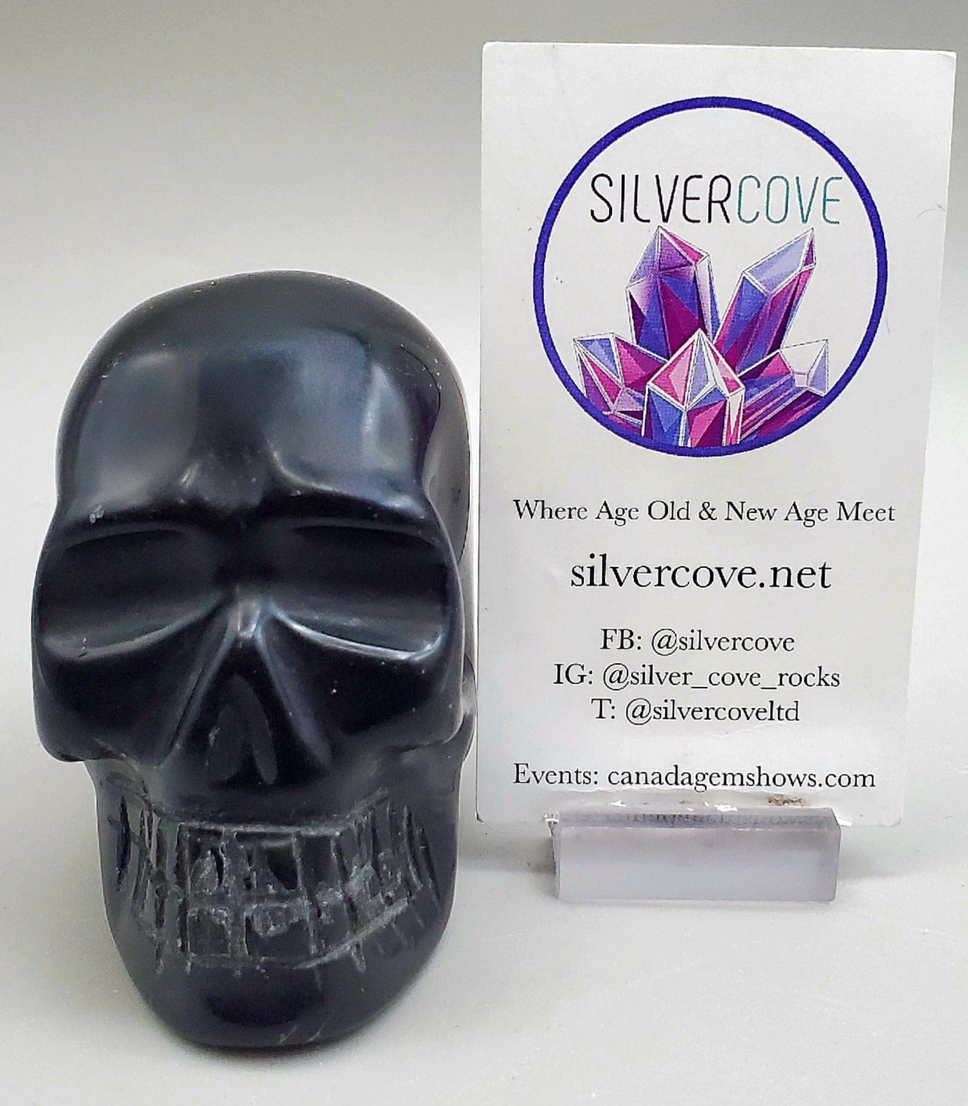 Black Onyx Skull Carving - Handcrafted Gothic Decor, Unique Gemstone Sculpture for Home Altar, Meditation & Spiritual Healing