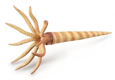 CollectA Orthoceras Dinosaur Figurine - Realistic Prehistoric Sea Creature Model for Kids & Collectors - Perfect for Educational Play, Diorama Displays & Paleontology Enthusiasts