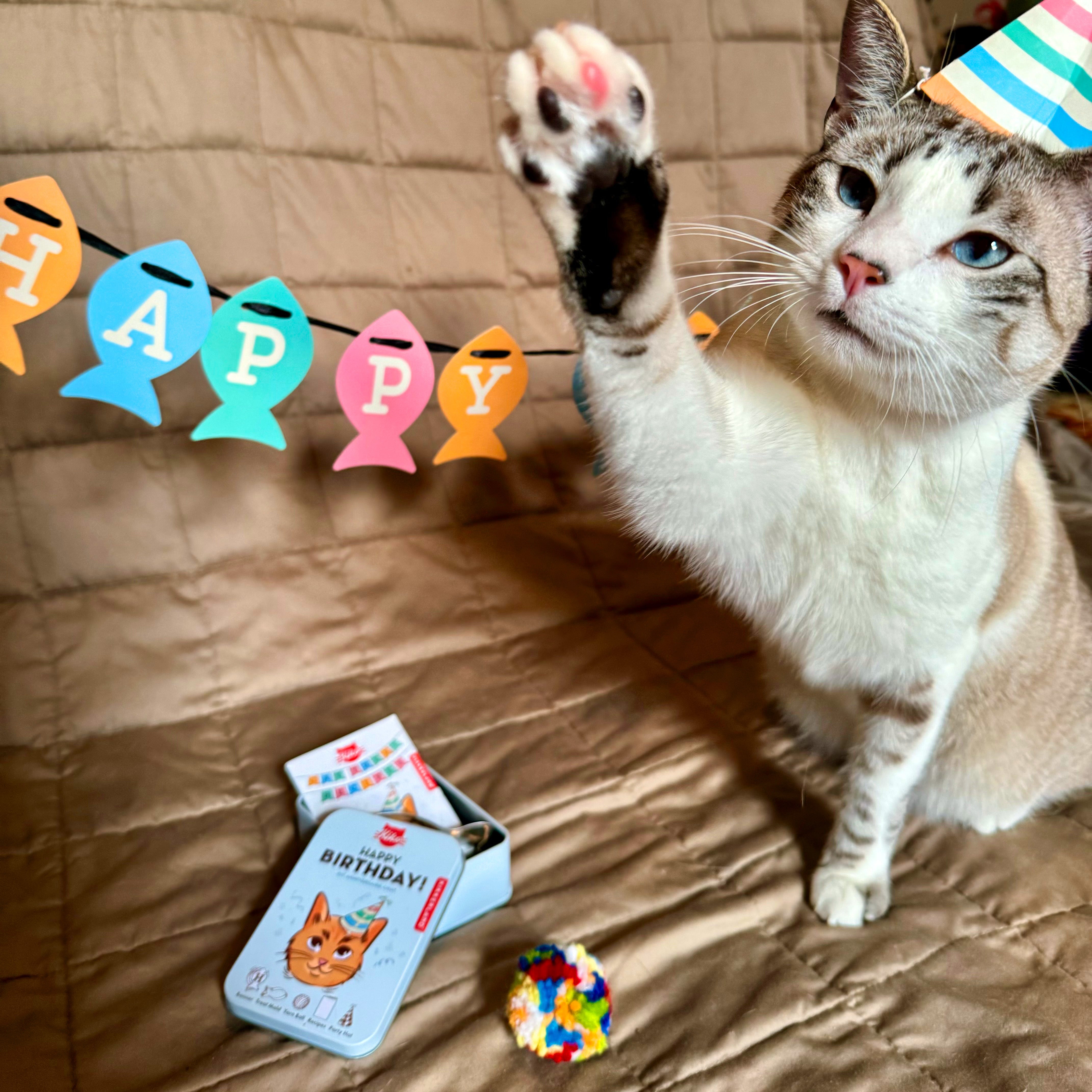 Kiko Cat Happy Birthday Party Kit - Fun Pet Celebration Supplies for Cats & Kittens - Perfect for Birthdays, Adoption Anniversaries & Special Occasions