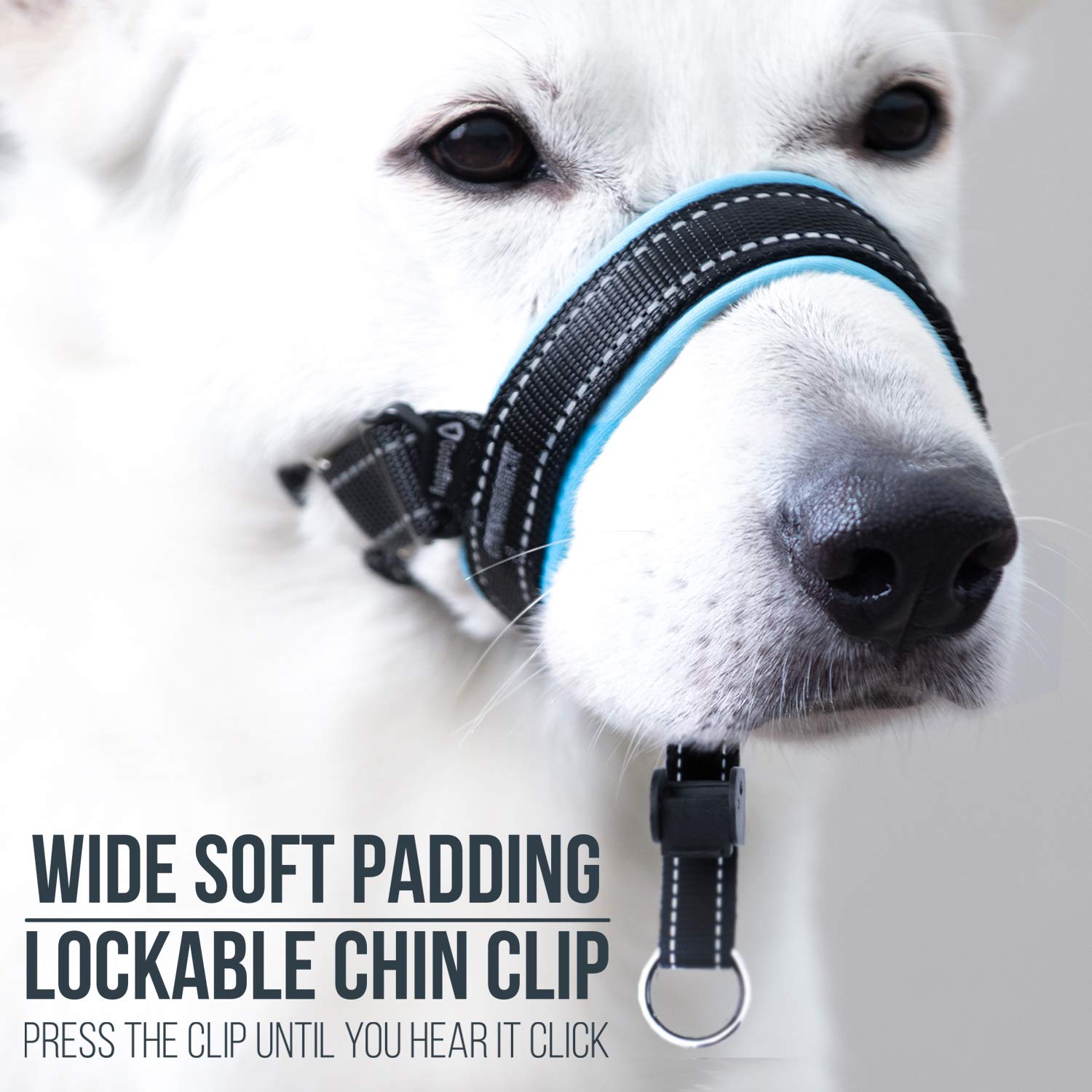 GoodBoy No-Pull Dog Head Halter with Safety Strap - Gentle Training Headcollar for Small, Medium & Large Dogs - Stops Leash Pulling - Includes Padded Design & Training Guide (Size 2, Blue) - Perfect for Walks, Training & Behavior Correction