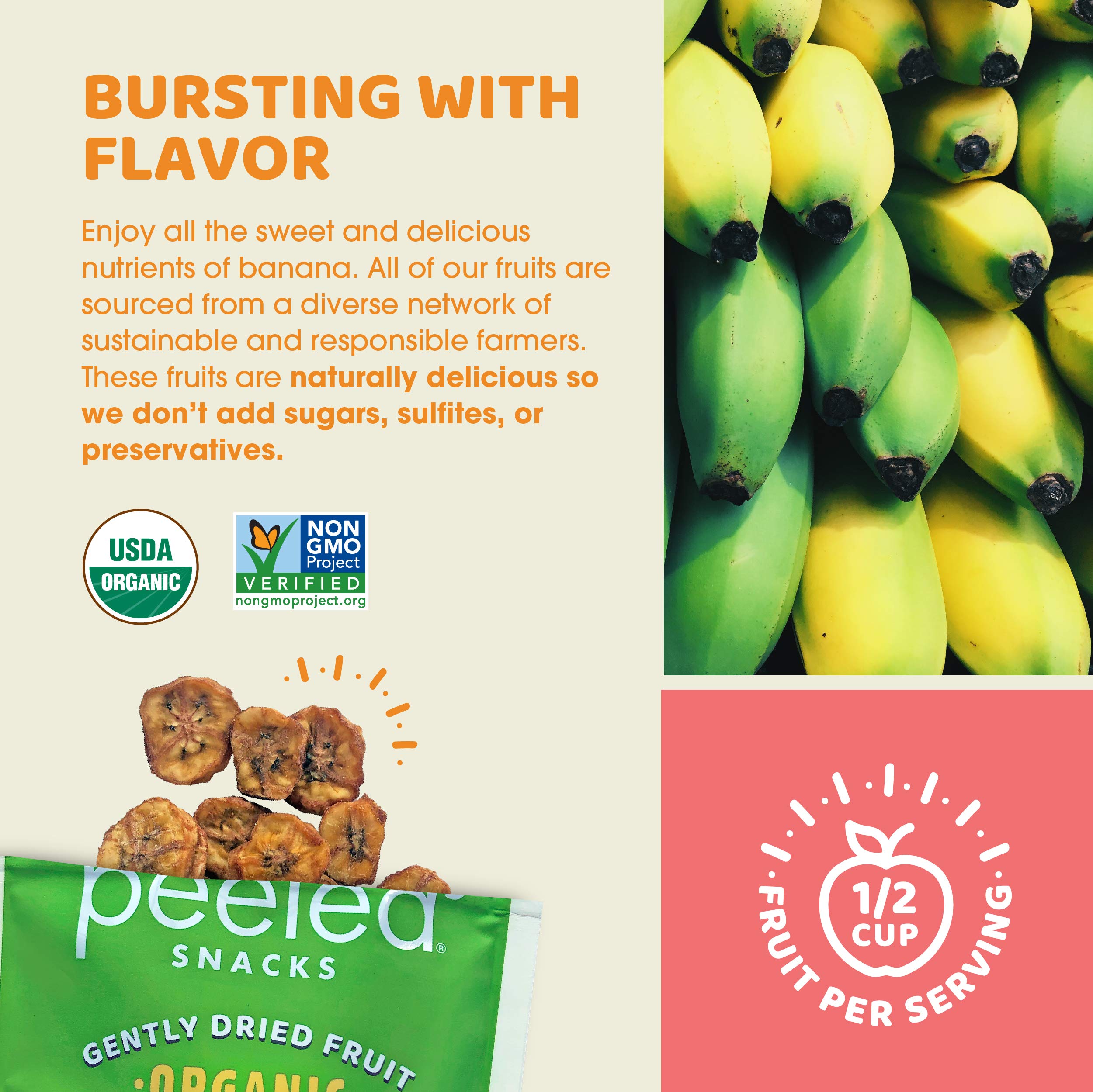 Organic Dried Banana Snacks, 2.8 oz | Vegan, Gluten-Free, Non-GMO | Healthy On-the-Go Snack for Work, School, Hiking & Travel