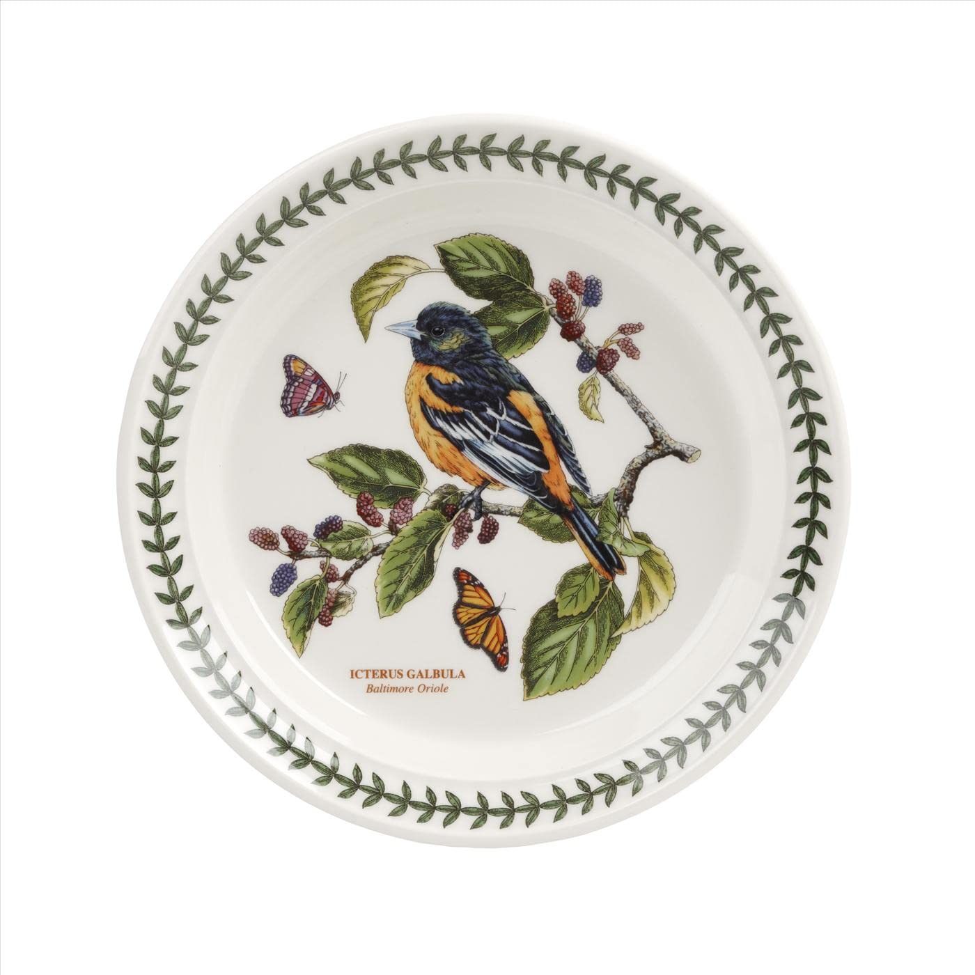 Portmeirion Botanic Garden Birds Collection Salad Plates Set of 6 - 8.5 Inch Earthenware Plates with Beautiful Bird Designs | Dishwasher & Microwave Safe | Made in England | Perfect for Dinner Parties, Garden Tea Time & Home Decor