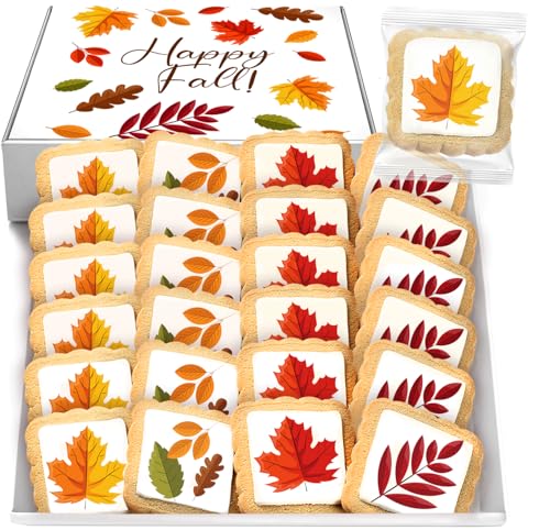 Fall