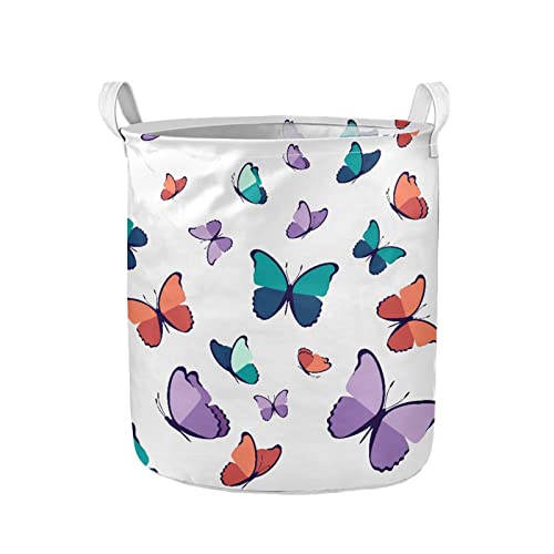 Multicolored Butterfly