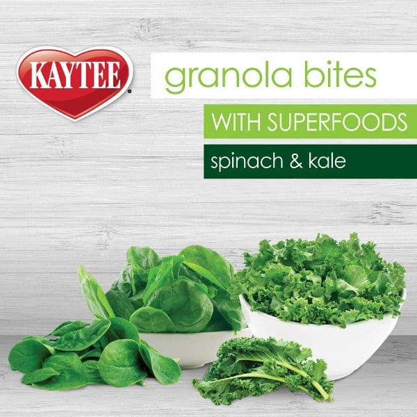 Kaytee Granola Bites with Superfoods Spinach & Kale - Healthy Small Animal Treats for Hamsters, Guinea Pigs & Rabbits - Perfect for Training Rewards & Daily Snacking