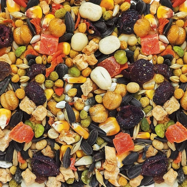 Premium Parrot Seed Mix - HARI Gourmet Bird Food for Cockatiels, Conures & Parakeets | Healthy & Nutritious Diet for Pet Birds | Perfect for Daily Feeding & Training Treats