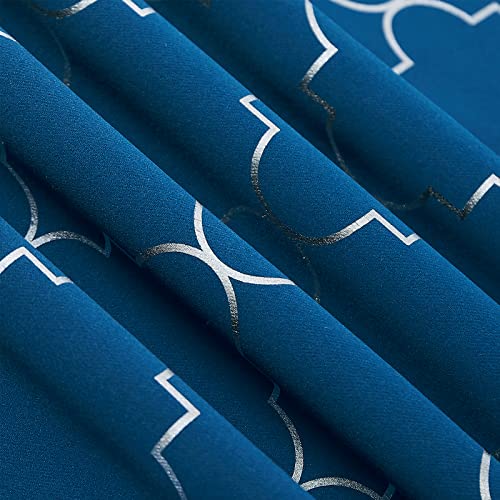 Blue/Silver
