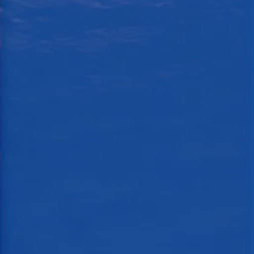 Blue Ribbon