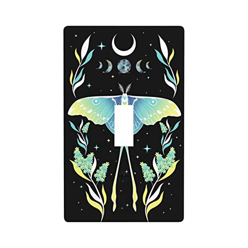 Moth Moon Stars