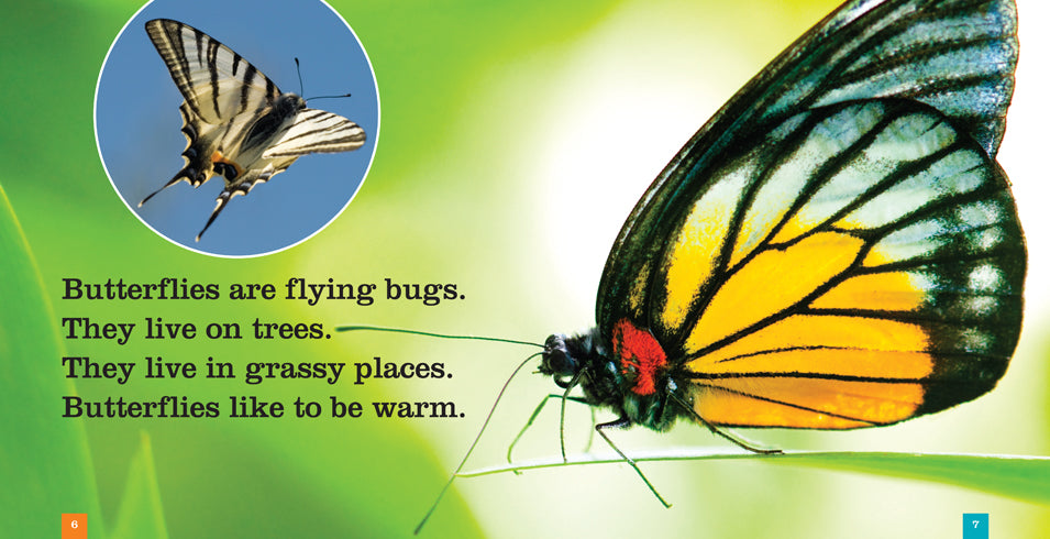 Butterflies Book ISBN 9781608184576 - Explore Butterfly Species, Facts & Habitats for Nature Lovers & Educational Use