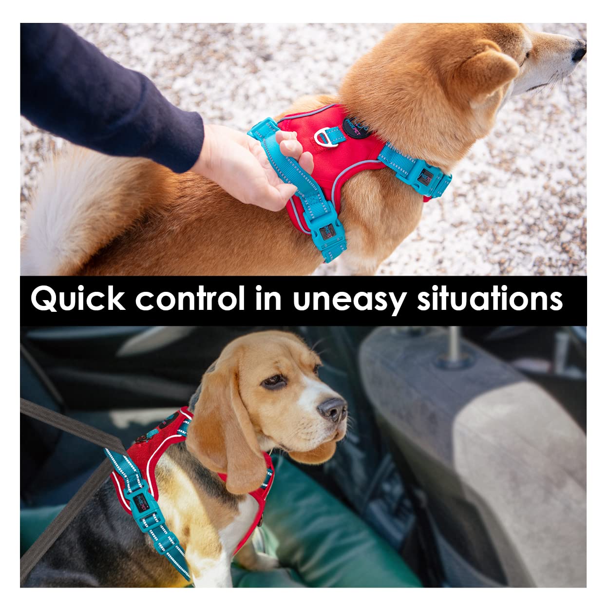 PHOEPET No Pull Dog Harness - Reflective Adjustable Dog Vest with Soft Training Handle & Metal Clips for Small Medium Large Dogs - Red Base & Teal Straps (XL) - Perfect for Walking, Running, and Outdoor Adventures