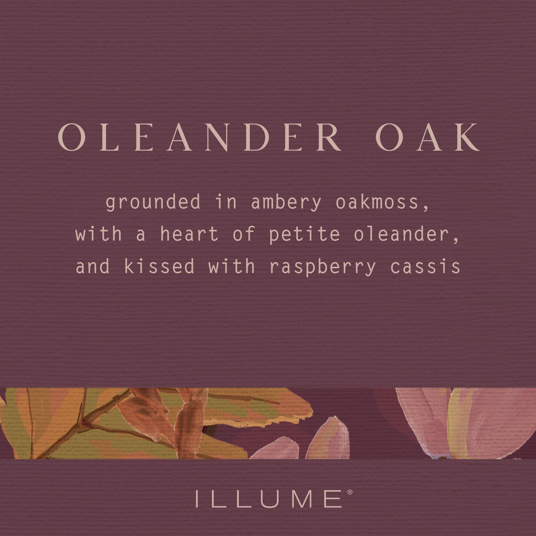 Natural Oleander Oak Hand Soap - Moisturizing & Antibacterial - Perfect for Kitchen, Bathroom & Office Use