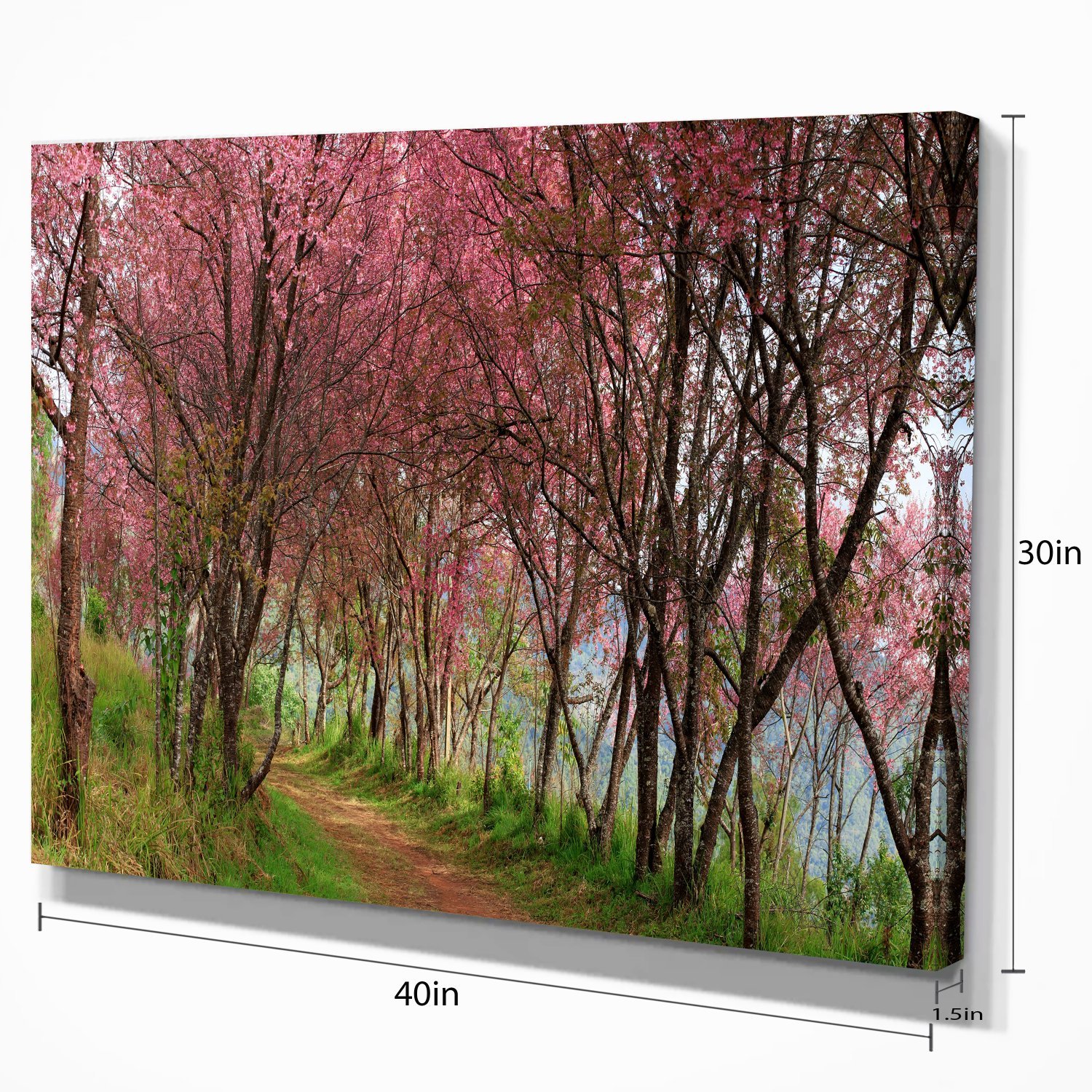 Stunning Sakura Pink Cherry Blossom Flowers Thailand Landscape Canvas Wall Art Print - Perfect for Living Room, Bedroom & Office Decor