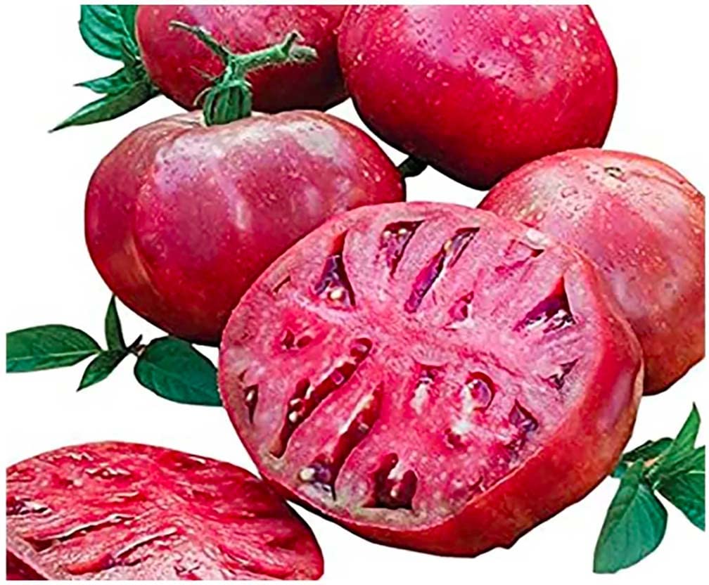 Organic Cherokee Purple Heirloom Tomato Seeds for Planting - Large, Juicy & Flavorful Tomatoes - Perfect for Home Garden, Farmers Market & Fresh Salads