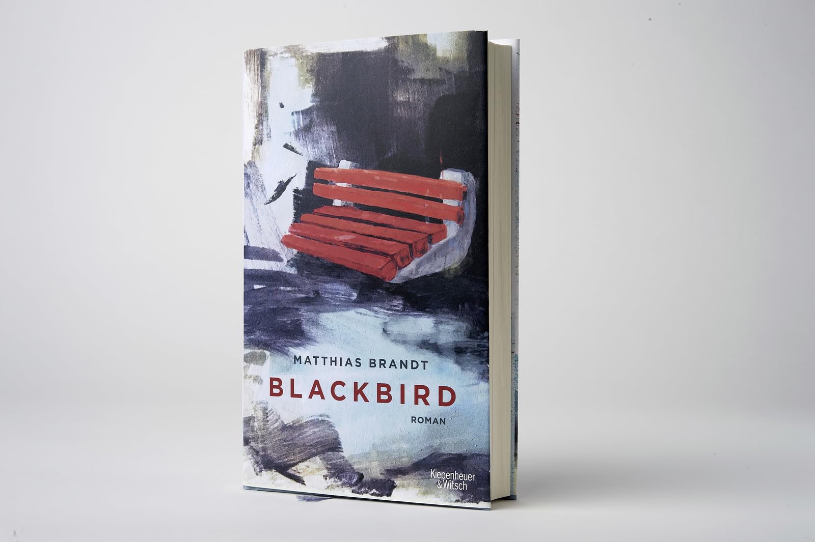 Blackbird: A Novel - Historical Fiction Book for Adults | Perfect for Book Clubs, Gifts & Relaxing Reading