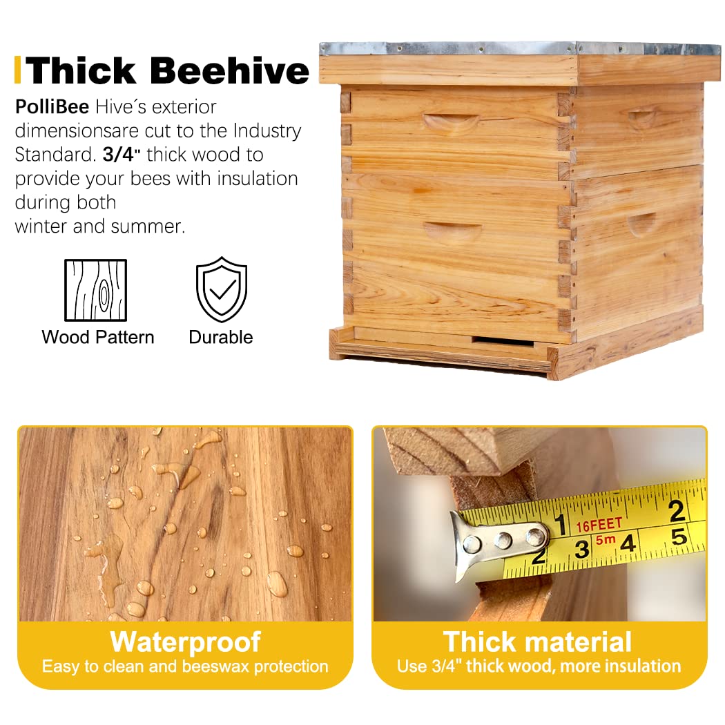 POLLIBEE 8 Frame Beehive Starter Kit - Unassembled Langstroth Bee Hive with 1 Deep & 1 Medium Box, Beeswax Coated Frames & Foundation - Complete Beekeeping Supplies for Beginners | Perfect for Backyard Honey Production & Pollination
