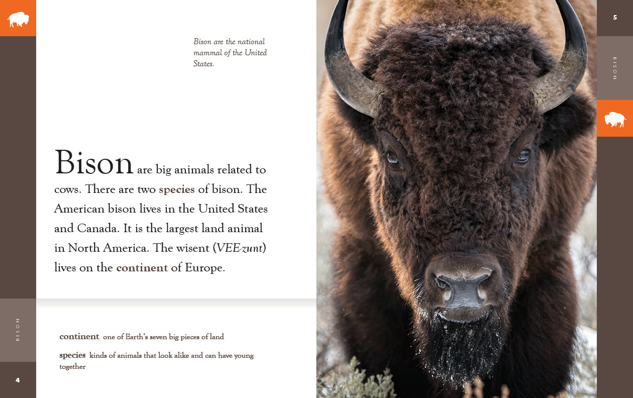 Bison Book 9781640265394 - Wildlife Education & Nature Reading for Kids & Adults | Perfect for Classroom Learning & Home Library