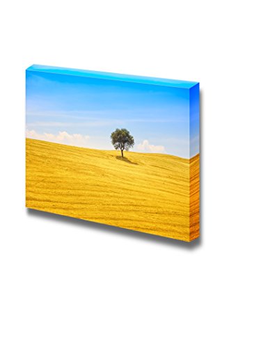 Olive Tree