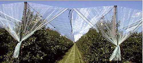 Premium Anti-Aging Orchard & Vegetable Garden Hail Protection Netting - 19.5x75ft Durable Mesh for Fruit Trees, Crops & Plants - Weatherproof Shade Cover for Outdoor Farming & Backyard Gardening