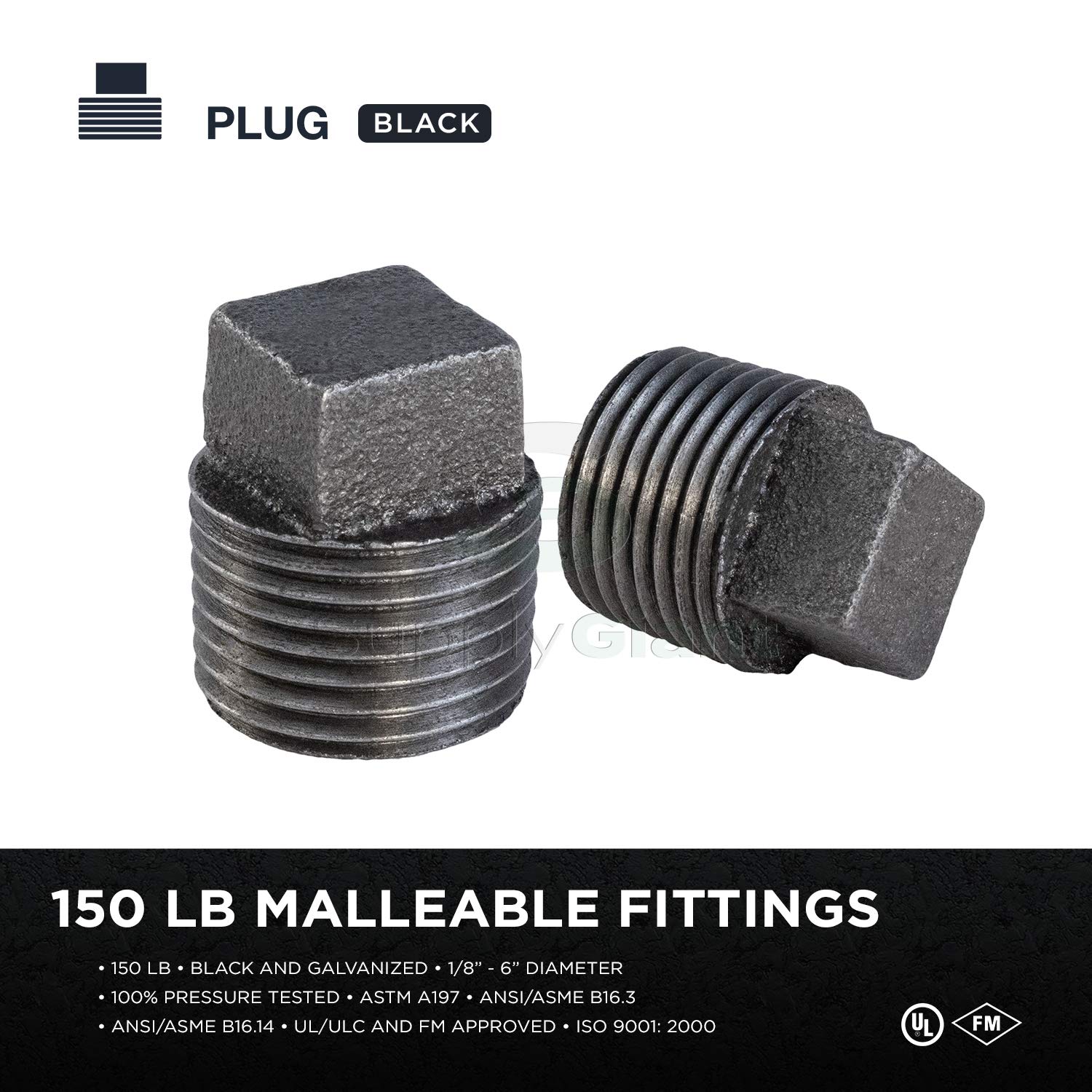 CNQM3000 Black Malleable Iron Plug with Square Head, 1