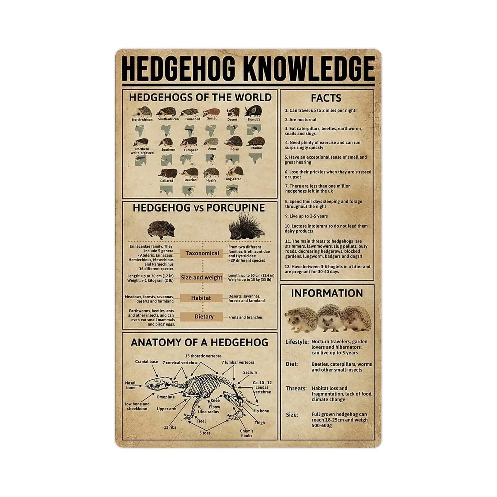 Hedgehog Facts Metal Tin Sign - Retro Animal Science Poster for Classroom, Home & Kids Room - 8x12 Inch Wall Decor - Perfect for Education & Nursery Décor