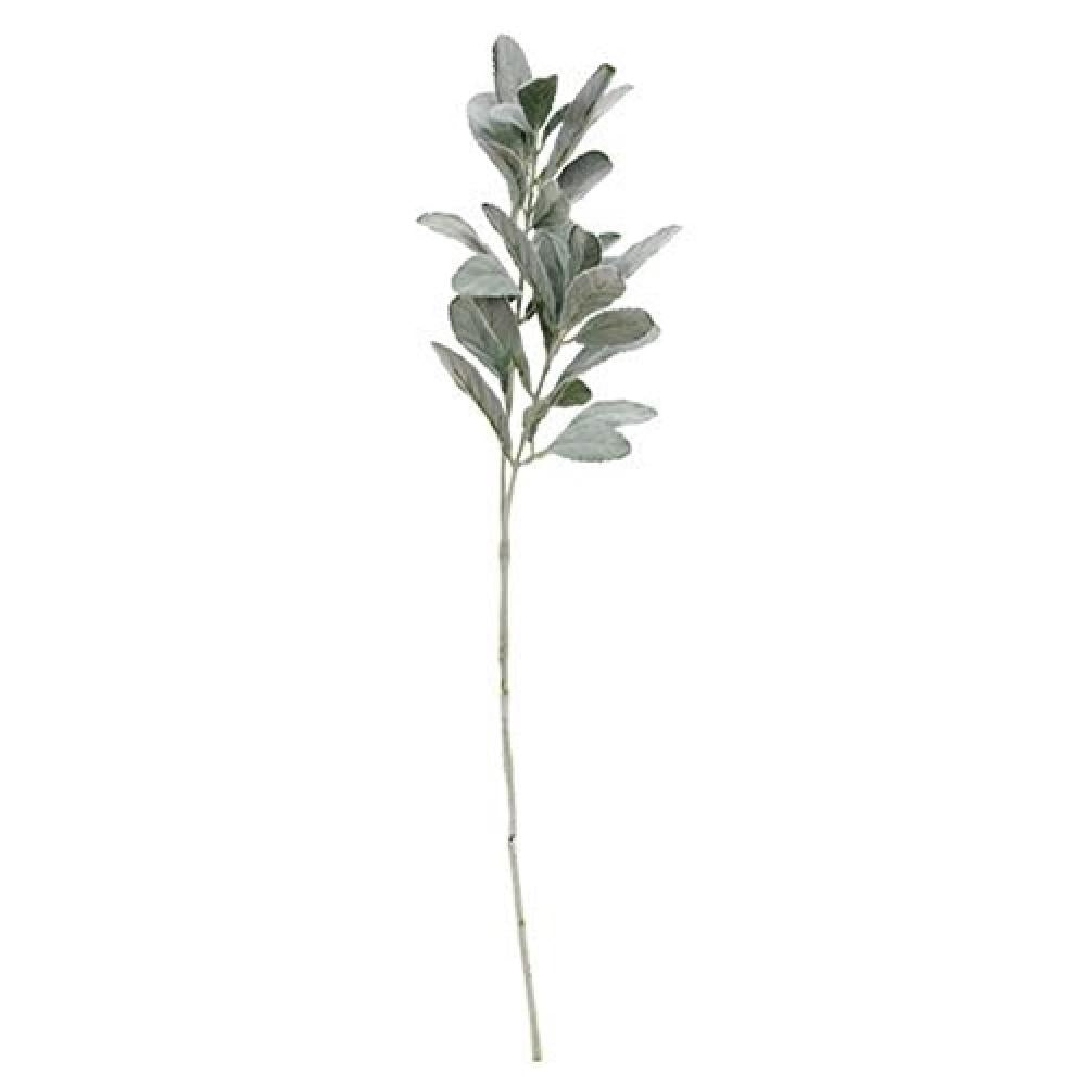 Premium Frosted Lamb's Ear Spray for Home Decor & Wedding Bouquets - Natural Dried Floral Arrangement for Rustic Centerpieces and DIY Crafts