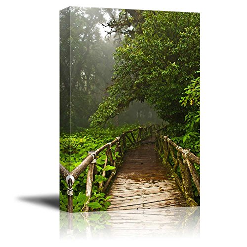 Rainforest Doi Inthanon