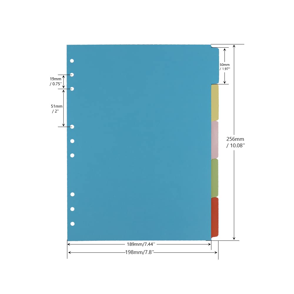 4 Pack B5 Binder Index Dividers - 5 Tabs per Divider, 9 Hole Punched for Round Ring Binders - 20 Total Dividers for School, Office & Home Organization - Perfect for Loose Leaf Binder Sheet Protectors & Planner Inserts