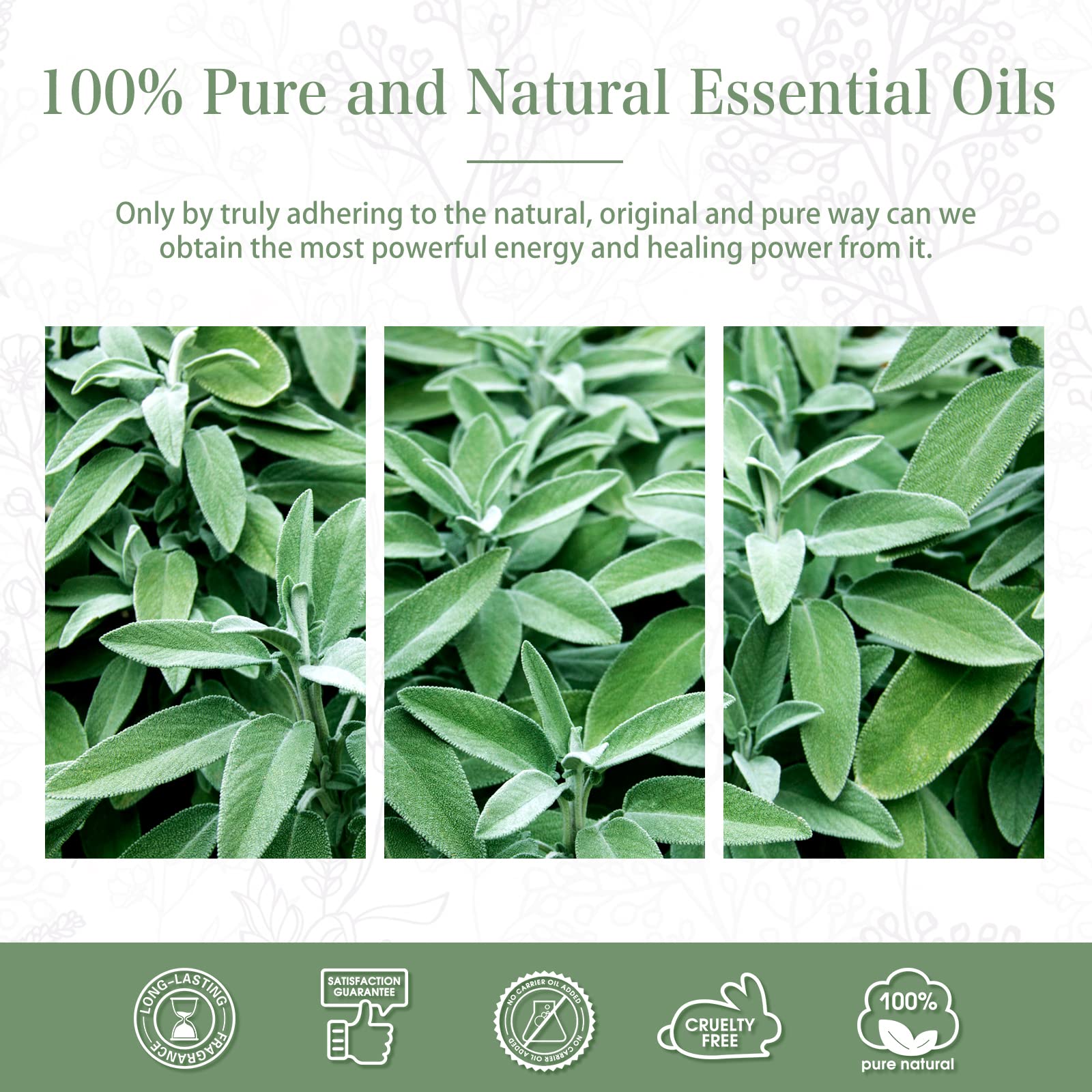 3.38 Fl Oz (100ml) Clary Sage Essential Oil for Aromatherapy - Pure & Natural Essential Oil with Glass Dropper for Diffusers, Humidifiers, DIY Candle & Soap Making - Perfect for Relaxation, Stress Relief & Home Spa