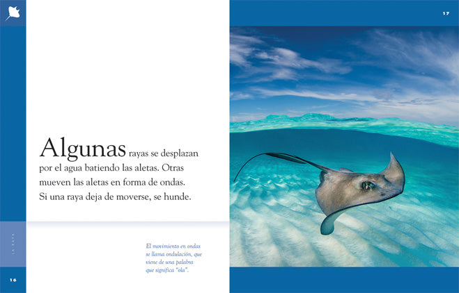 La Raya by 9781608189380 - Perfect for Book Lovers, Reading Enthusiasts & Spanish Literature Fans