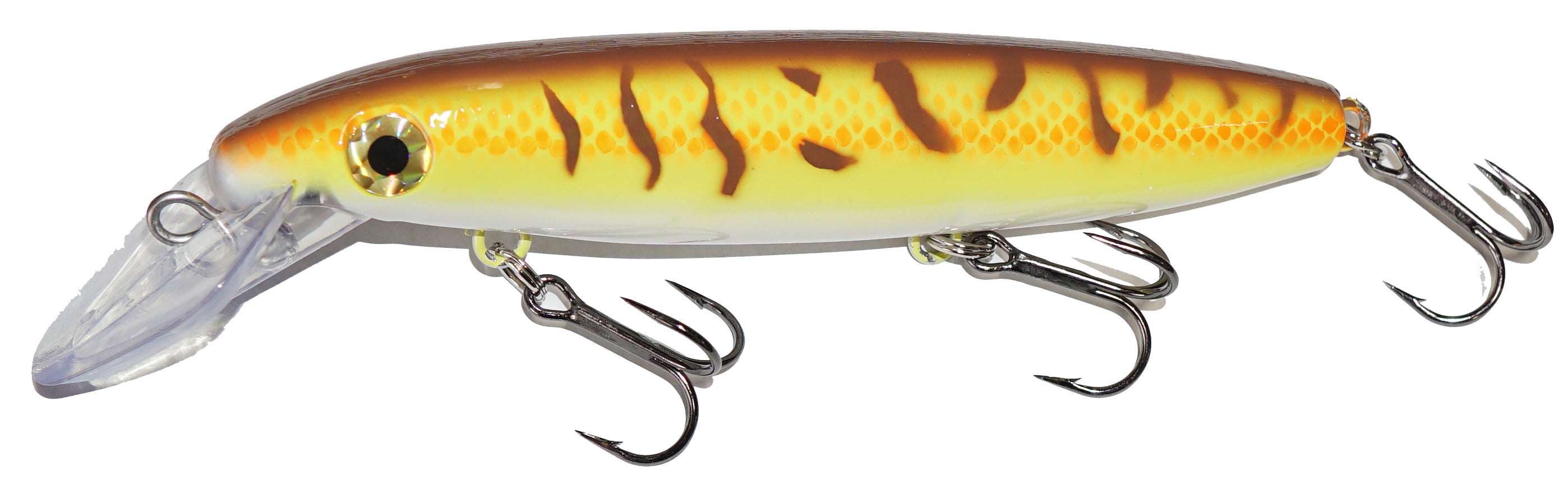 Hot Perch