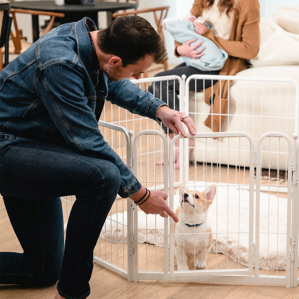 Homeplus Indoor Dog Playpen - Portable Pet Fence for Small & Medium Dogs - Perfect for Puppy Training, Home Safety & Apartment Living