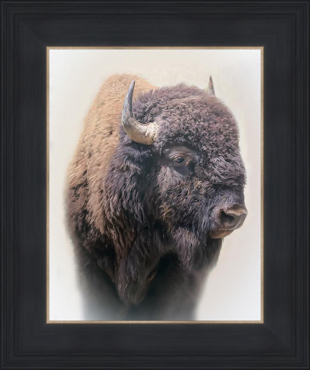 Bison By Matthew Grant | Premium Bison Meat & Jerky | High-Protein Snacks for Camping, Hiking & Outdoor Adventures