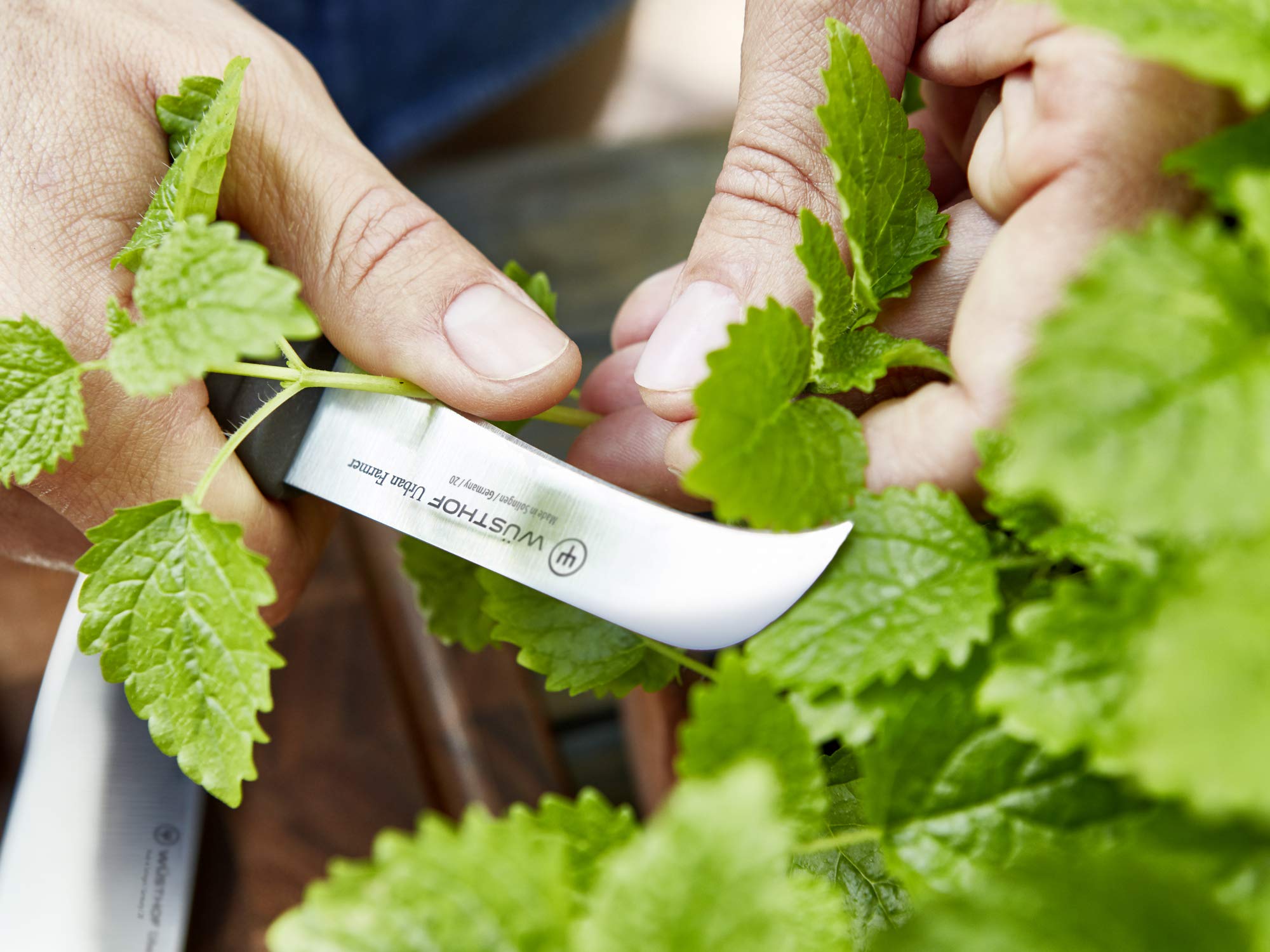 Wusthof Urban Farmer Pruning Knife - 2.75 Inch Black Blade for Gardening, Herbs & Precision Cutting | Perfect for Home Gardeners & Outdoor Enthusiasts