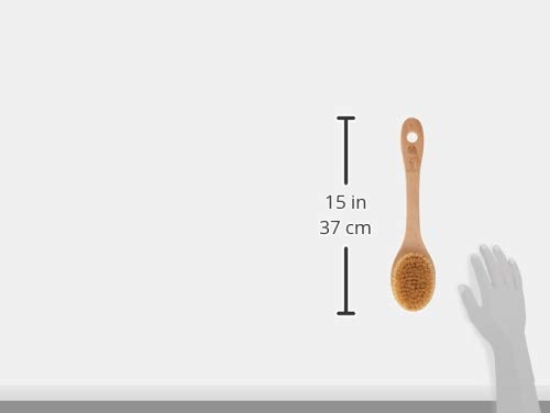 The Body Shop Cactus Body Brush - Exfoliating & Massaging Dry Brush for Smooth Skin - Perfect for Spa, Shower & Self-Care Routine