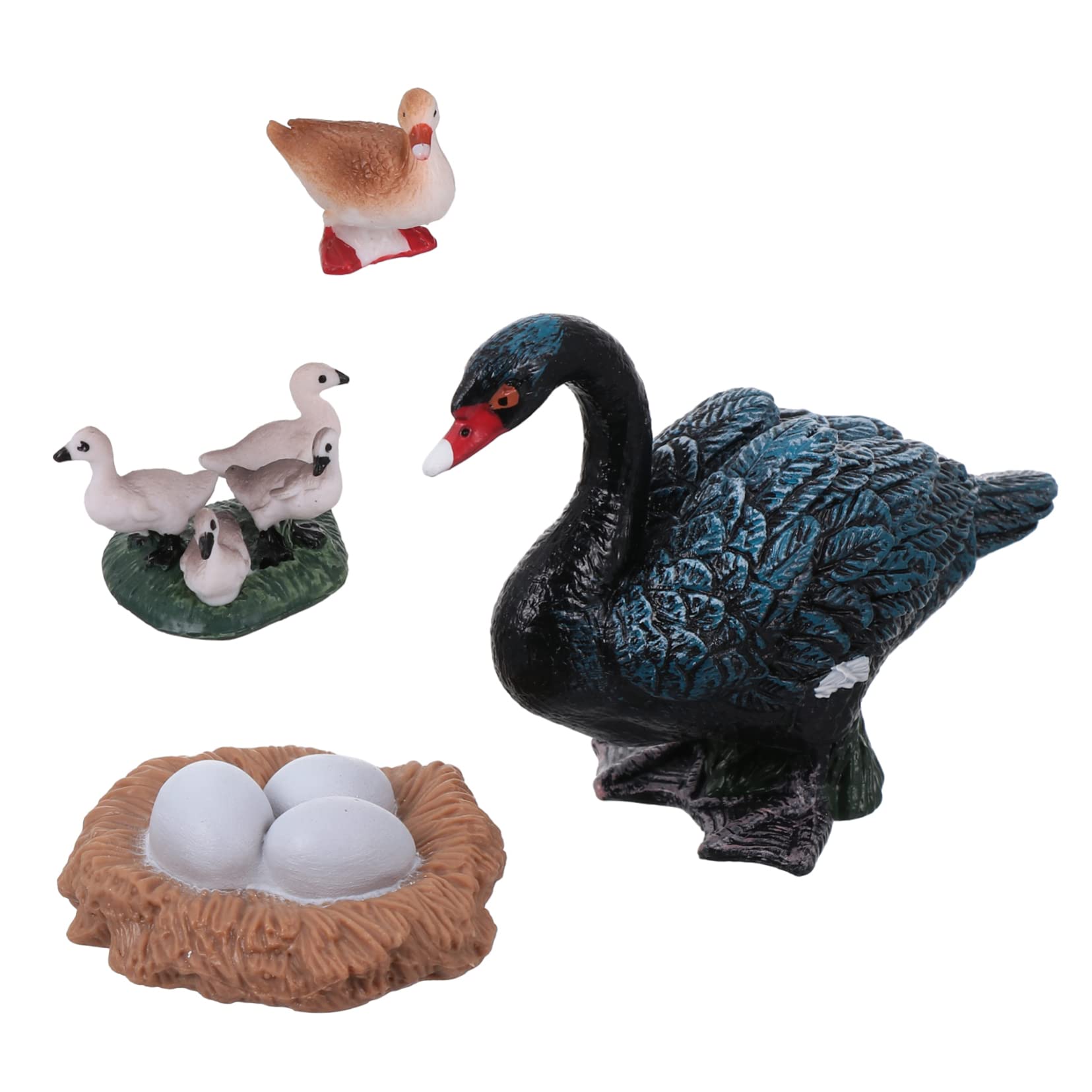 1 Set Plastic Growth Cycle Toys for Kids - Educational Teaching Aids for Plant & Animal Life Cycle Learning - Perfect for Homeschooling & Classroom Science Lessons