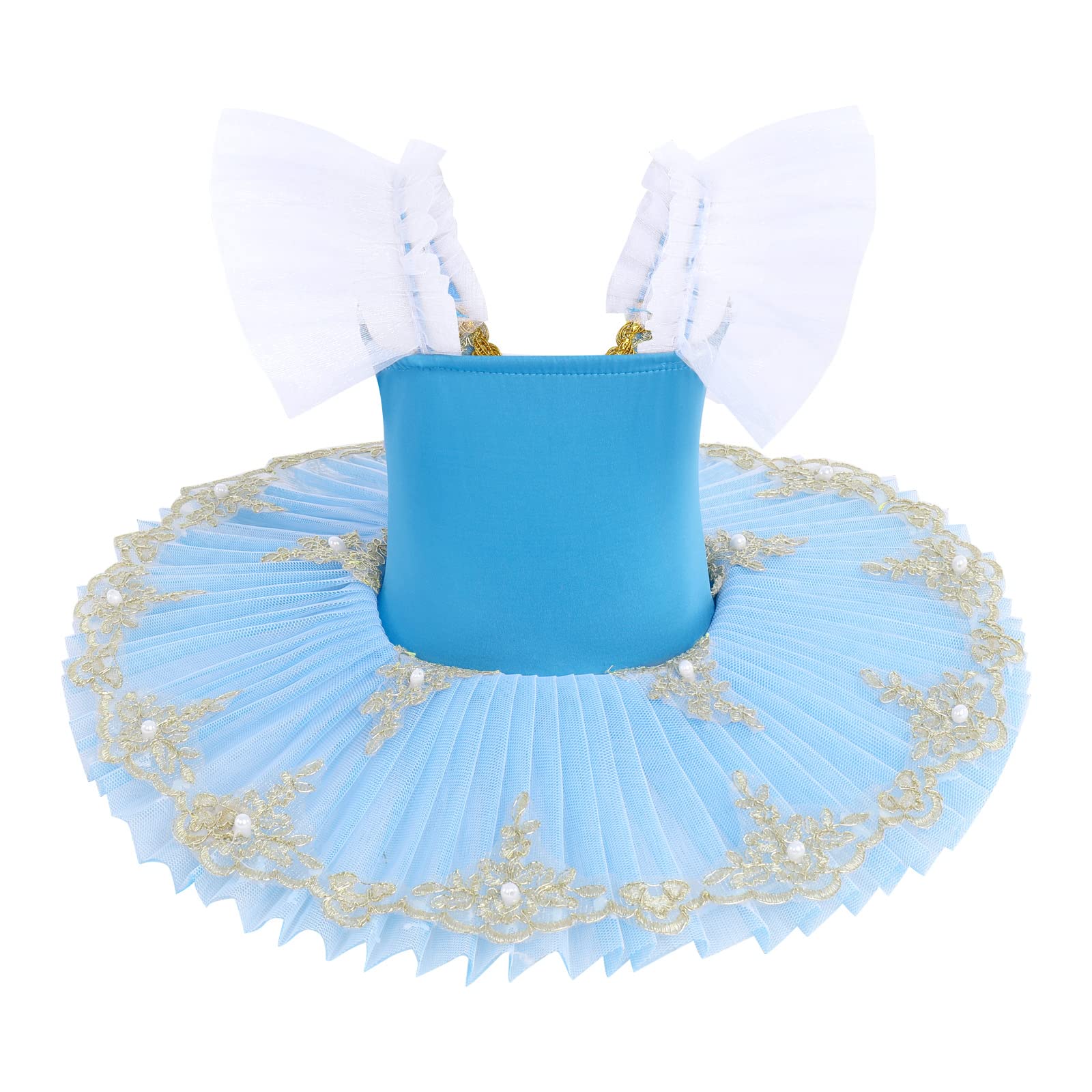Swan Lake Ballet Leotard with Tutu Skirt - Girls Ballet Dance Costume for Performance, Recital & Competition - Princess Ballerina Outfit for Toddler to Teen