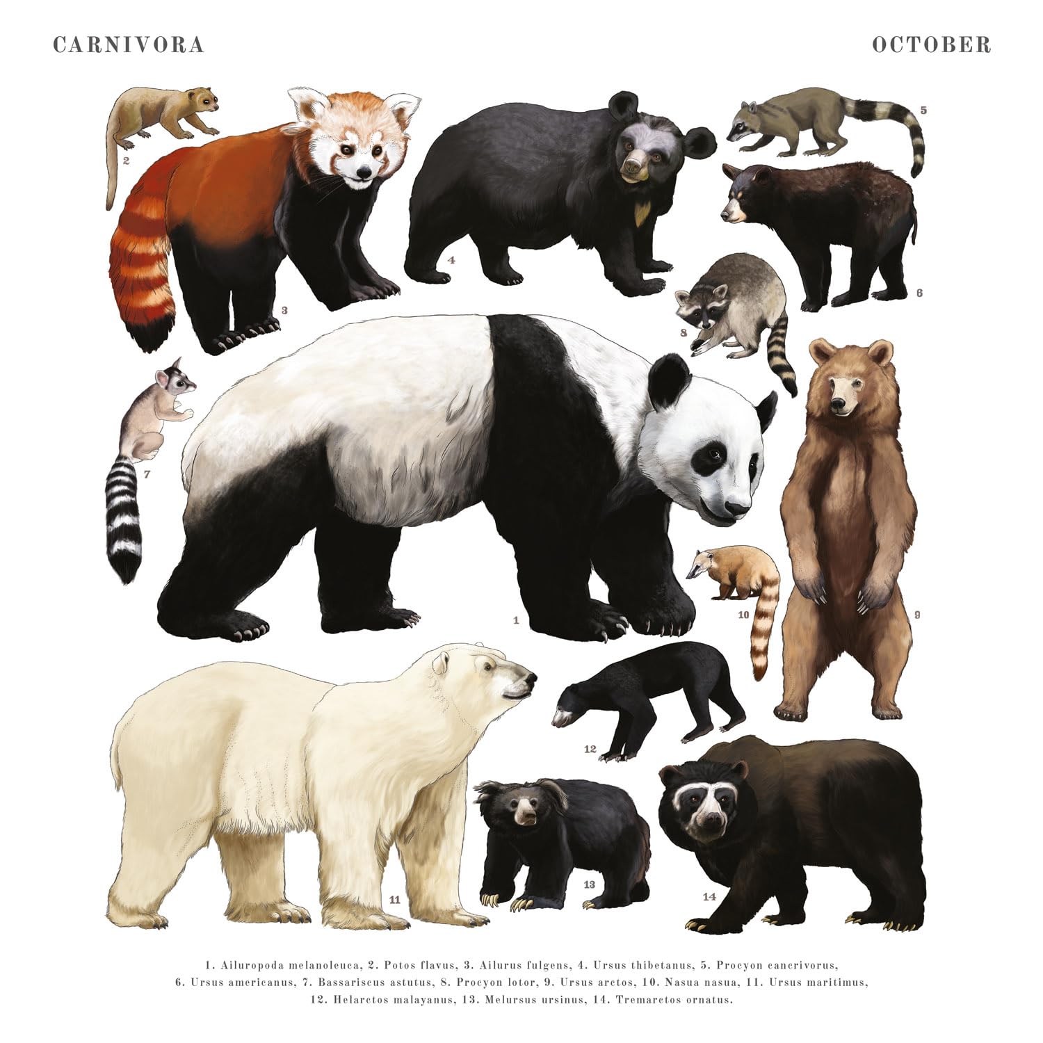 2024-2025 Animal Wall Calendar - 16 Month Hanging Planner (September 2024 to December 2025) - 12x12 Inch Monthly Calendar for Home, Office & Classroom Decor - Perfect Gift for Animal Lovers