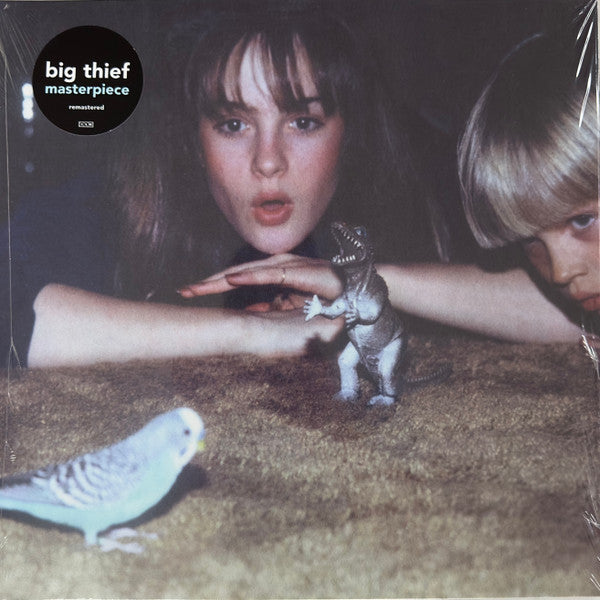 Big Thief Official Merchandise - Band T-Shirts, Hoodies & Vinyl Records for Music Fans | Perfect for Concerts, Gifts & Music Collectors