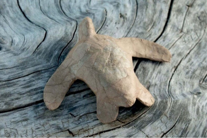 Eco-Friendly Biodegradable Paper Turtle Mini Water Burial Urn for Pet Ashes - Perfect for Memorial Ceremonies & Ocean Scattering