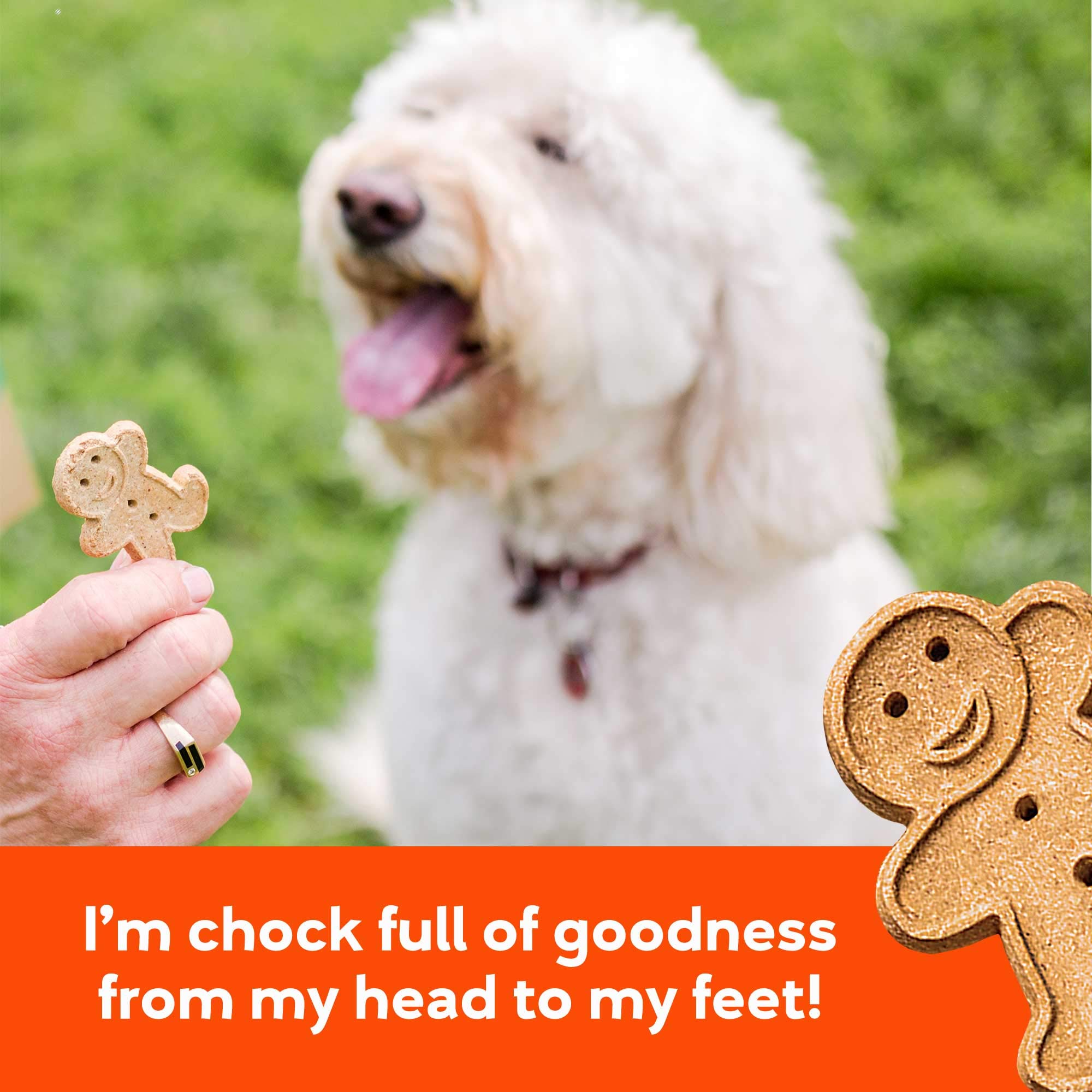 Buddy Biscuits Oven Baked Dog Treats with Peanut Butter & Whole Grain - 6 Pack (96 oz) - Healthy Crunchy Snacks for Training, Rewards & Dental Care - Perfect for Small, Medium & Large Dogs