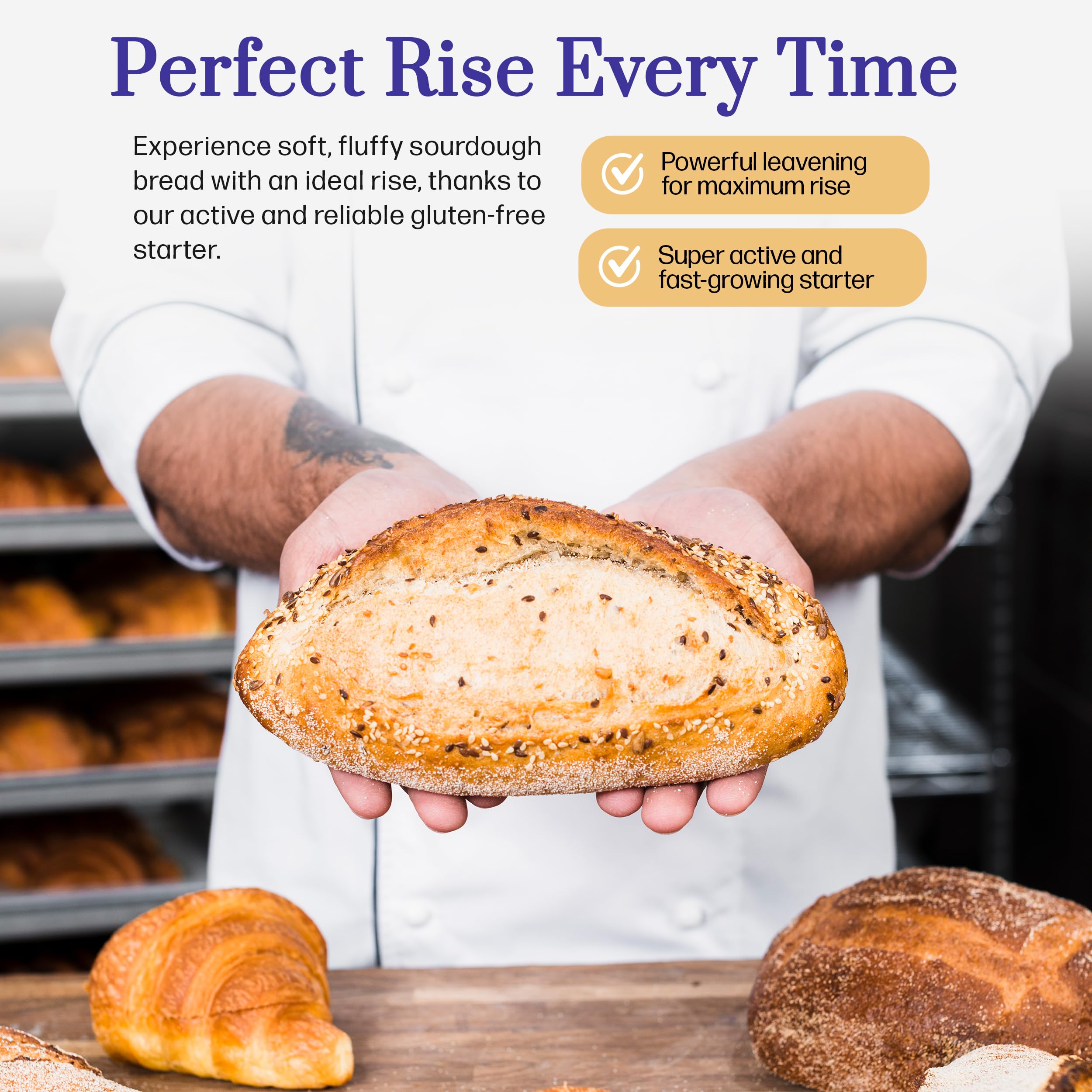 Organic Gluten Free Sourdough Starter Kit - Dehydrated Heirloom Style for Baking Bread, Pizza, Buns, Pancakes & Muffins | Easy to Use with Step-by-Step Instructions | Perfect for Home Bakers & Gluten-Free Diets