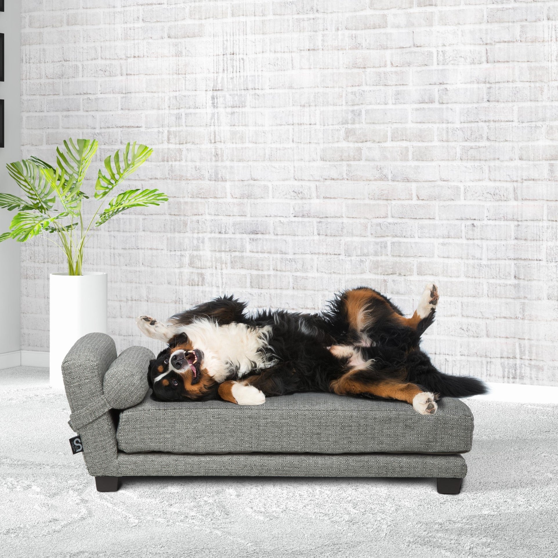 Orthopedic Dog Bed for Large Dogs - Memory Foam Support with Metal Frame - Perfect for Senior Pets & Joint Pain Relief - Ideal for Living Room, Bedroom, or Kennel Use