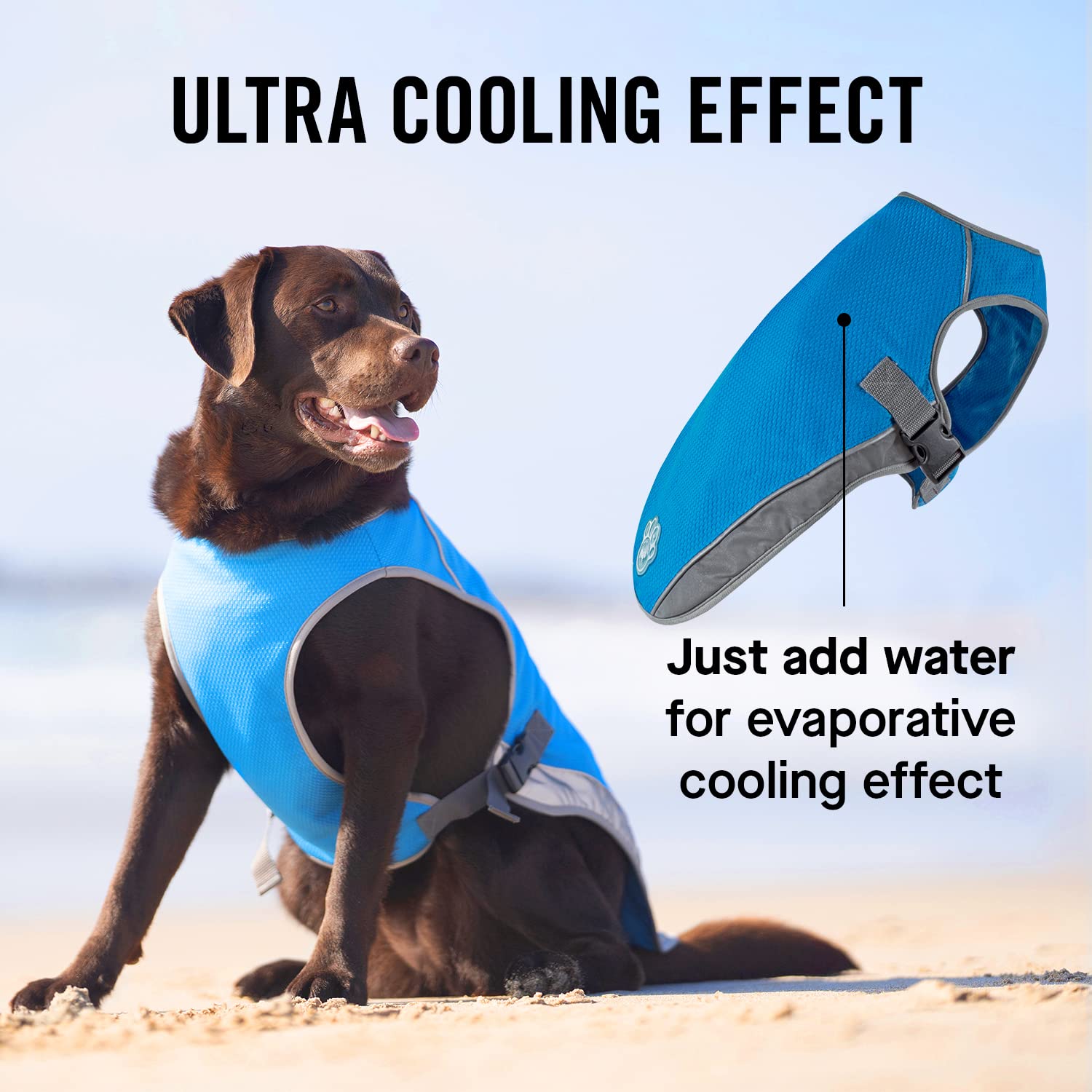 Canada Pooch Dog Cooling Vest - Breathable Mesh Evaporative Cooling Vest with Reflective Lining for Medium Dogs (17-19