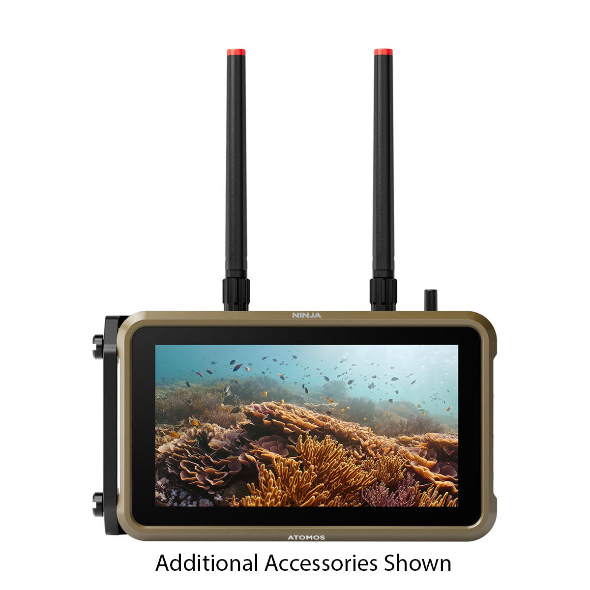 Atomos Ninja 5.2 6K HDMI Recording Monitor - Professional 5.2