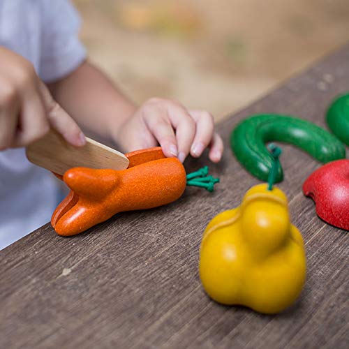 Plan Toys 3495 Premium Wooden Educational Toy for Kids - Safe & Eco-Friendly Wooden Learning Toy for Toddlers | Perfect for Preschool Learning, Montessori Activities & Early Childhood Development