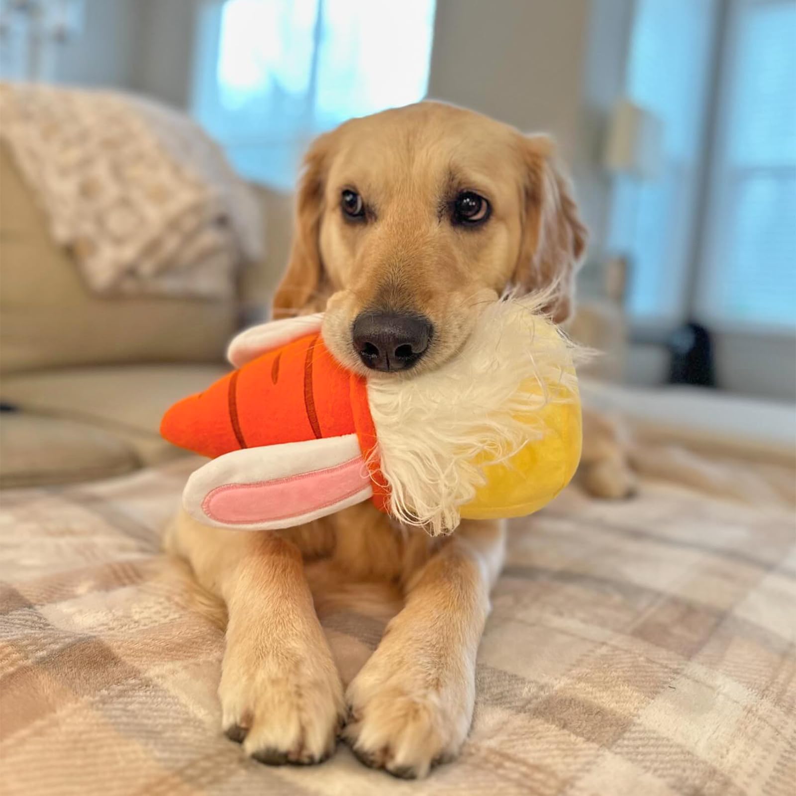 Midlee Easter Bunny Gnome Dog Toy - Cute Holiday Chew Toy for Small & Medium Dogs - Perfect for Easter Playtime & Gifting