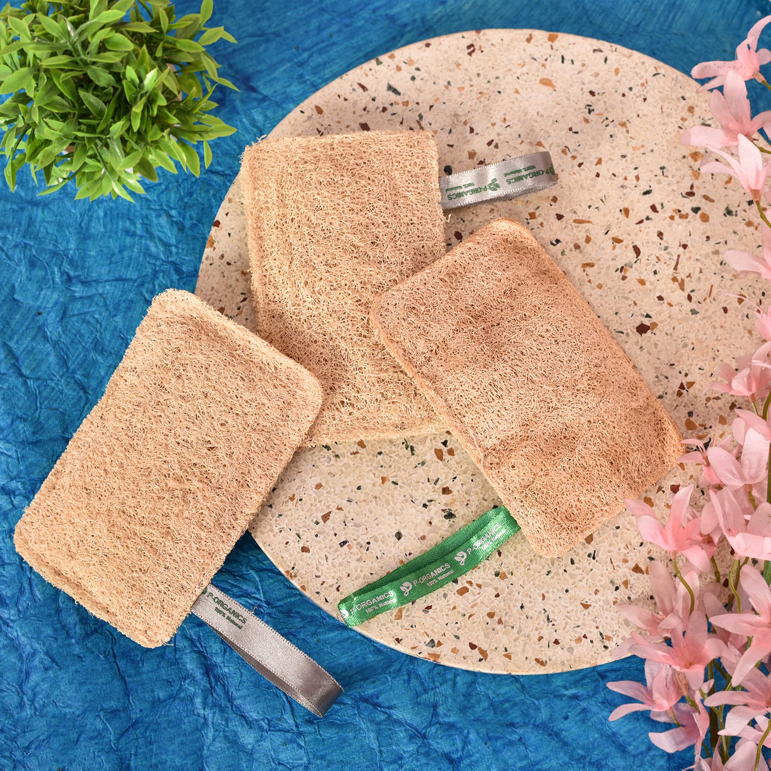 Organic Natural Sun-Dried Loofah Sponge for Bath & Shower | Exfoliating Body Scrubber for Men & Women | Eco-Friendly Skin Care & Detox | Perfect for Spa, Home Use & Travel (Pack of 3)